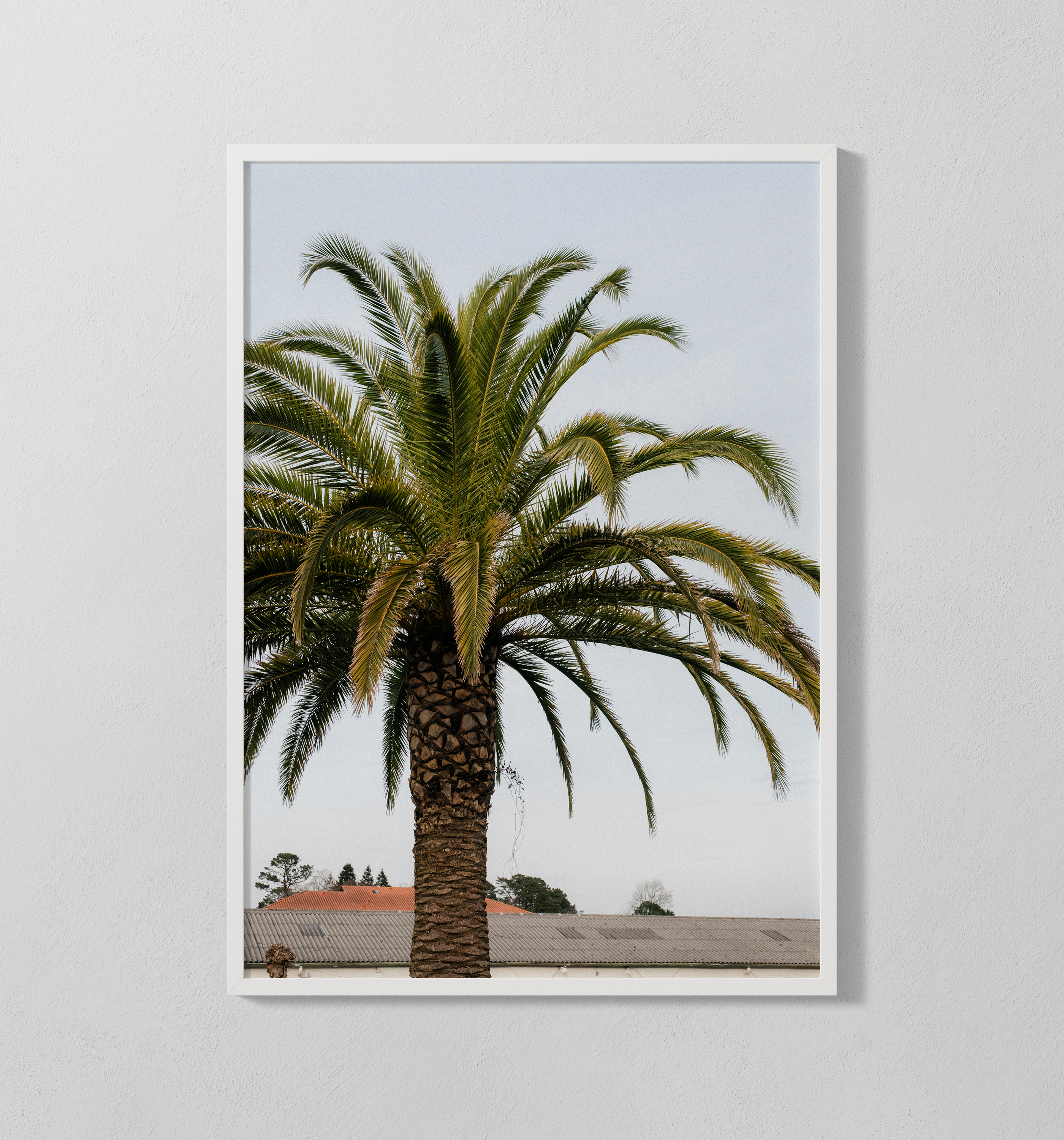 Palme | Poster